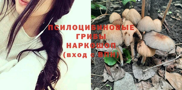 spice Саяногорск