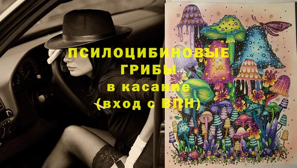 стафф Алзамай