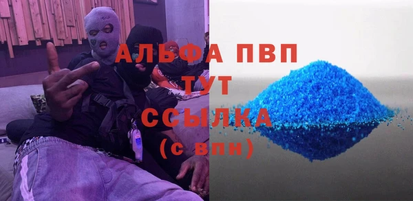 стафф Алзамай