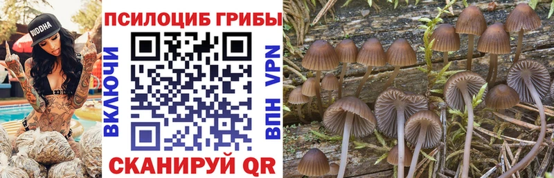Галлюциногенные грибы мицелий  Геленджик 