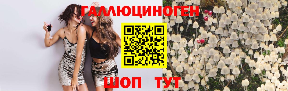 Псилоцибиновые грибы прущие грибы  Вход с VPN  Геленджик 